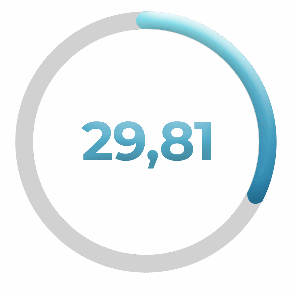 Loading 2981